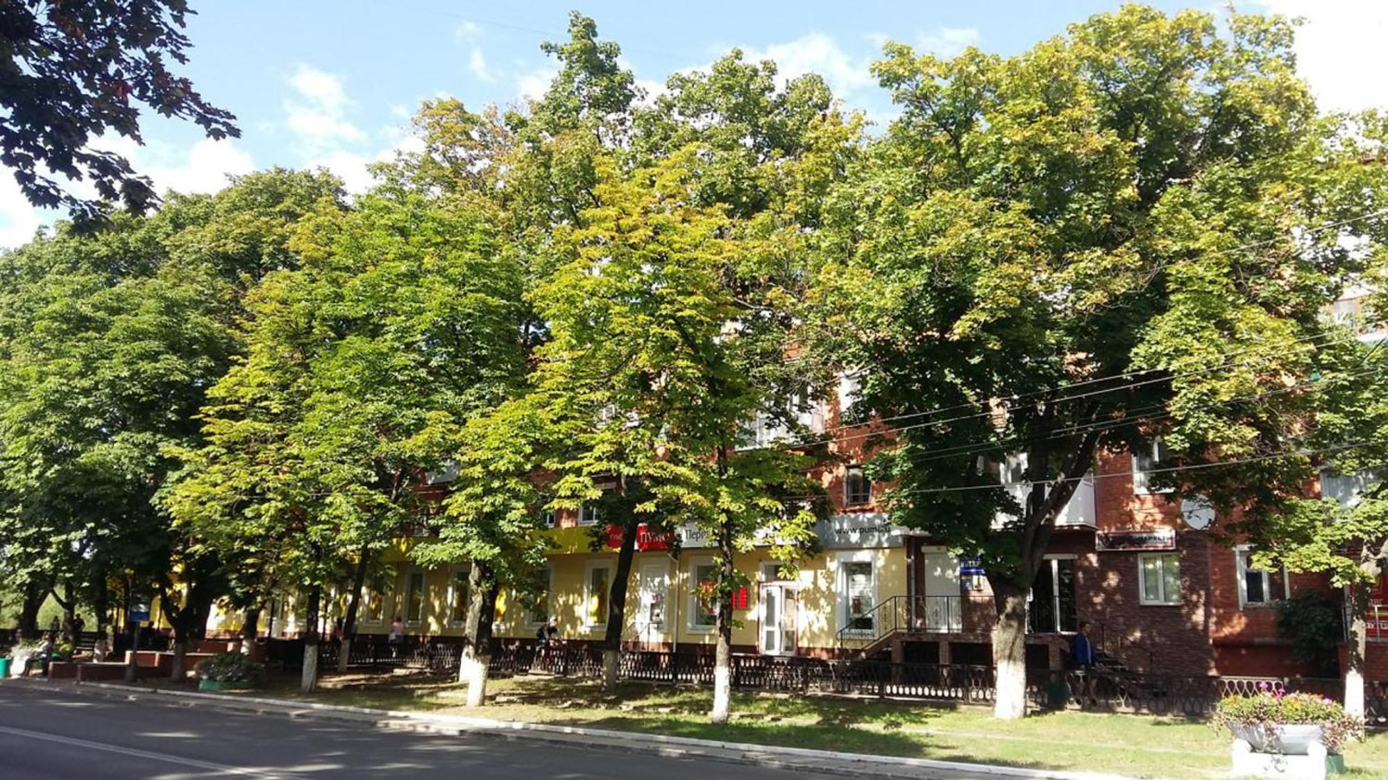 Затишна Квартира На Проспекті Соборний 61 Oleksandriia 외부 사진